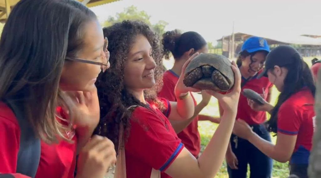 Dia de campo marca o início da Campanha de Vacinação contra a Raiva dos Herbívoros e a Brucelose em Bovídeos